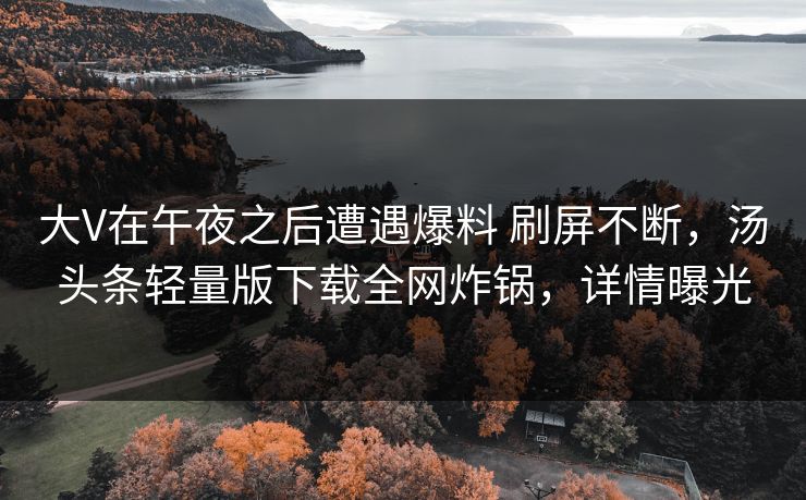 大V在午夜之后遭遇爆料 刷屏不断，汤头条轻量版下载全网炸锅，详情曝光