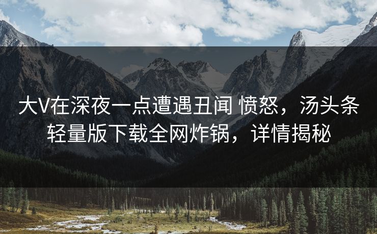 大V在深夜一点遭遇丑闻 愤怒，汤头条轻量版下载全网炸锅，详情揭秘